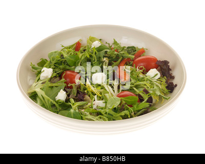 Frische, gesunde Gemischter Salat mit Feta Käse serviert auf einem Teller Isoliert gegen einen weißen Hintergrund mit keine Menschen und einen Freistellungspfad Stockfoto