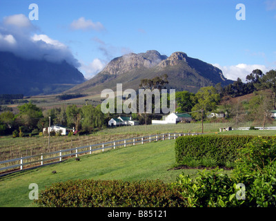 Winelands um Franschhoek in den Cape Winelands in Südafrika Stockfoto