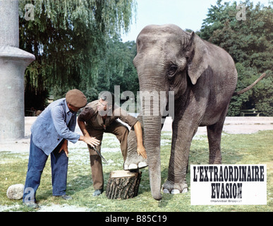 L'extraordinaire Steuerhinterziehung Hannibal Brooks Jahr: 1969-UK Oliver Reed Regie: Michael Winner Stockfoto