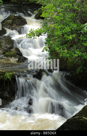 Wasserfälle am Fluss Marteg. Gilfach Farm Nature Reserve, ein Radnorshire Wildlife Trust Naturschutzgebiet in der Nähe von Rhayader, Powys, Wales. Stockfoto