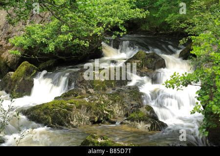 Wasserfälle am Fluss Marteg. Gilfach Farm Nature Reserve, ein Radnorshire Wildlife Trust Naturschutzgebiet in der Nähe von Rhayader, Powys, Wales. Stockfoto