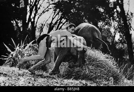 Tarzan findet einen Sohn! Jahr: 1939 - USA Johnny Weissmuller Regisseur: Richard Thorpe Stockfoto