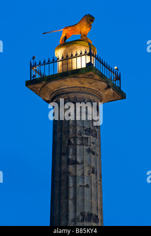 Die Mieterschaft-Spalte in der Northumbrian Stadt Alnwick, Northumberland, England Stockfoto