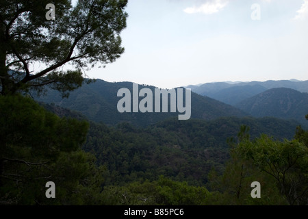 Blick auf den Sonnenuntergang der Berge Wald in Region Troodos-Gebirge, Südzypern Stockfoto