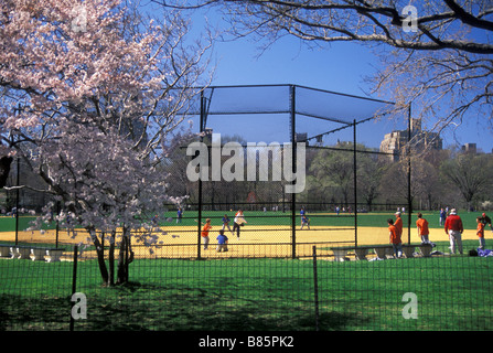 Baseball Diamant in Central Park, New York City, USA Stockfoto