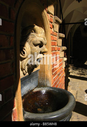 Polen, Krakau, Collegium Maius Brunnen Stockfoto