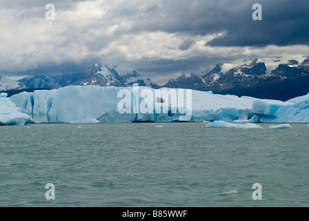 Eisberge schwimmen im Lago Argentino Stockfoto