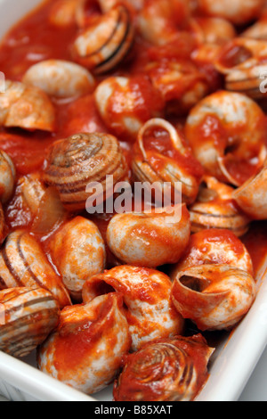 Schnecken in Tomatensauce, serviert mittags ("Pranzo") in einem Heim in Sardinien, Italien Stockfoto