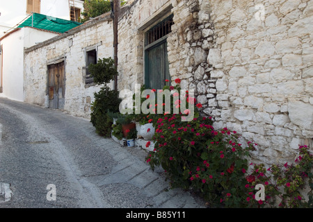 Dorf Omodhos kleine Straßenszene mit Stein Wand, alte Türen und Blumen, Troodos-Gebirge, Südzypern Stockfoto