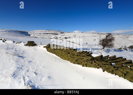 Winter Blick auf royd Kante und West Nab, Meltham in der Nähe von Hereford, West Yorkshire, Peak District National Park, England, UK. Stockfoto