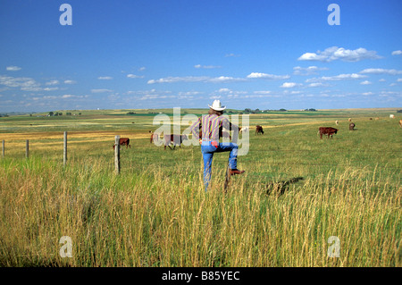 Viehzüchter in Montana, USA Stockfoto