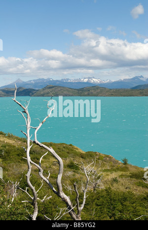 Lago Pehoe im Parque Nacional Torres del Paine, Chile Stockfoto