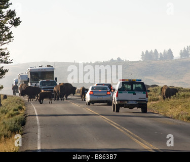 Verkehr nicht mehr im Nebel auf der Autobahn durch Hayden Valley im Yellowstone National Park Stockfoto