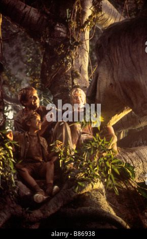 Jurassic Park Jahr: 1993 USA Regie: Steven Spielberg Sam Neill, Joseph Mazzello, Ariana Richards Stockfoto