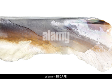 Abalone Muschel Textur mit Makro-Objektiv geschossen Stockfoto