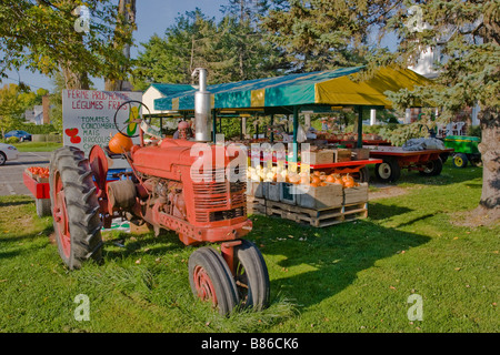 Ein alter Farmall-Traktor mit drei Rädern, der für den Verkauf von Kürbissen und Gemüse am Straßenrand in Ontario, Kanada, eingesetzt wurde. Stockfoto
