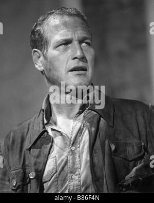 Die Flammendes Inferno Jahr: 1974 - USA Paul Newman Regie: John guillermin Stockfoto