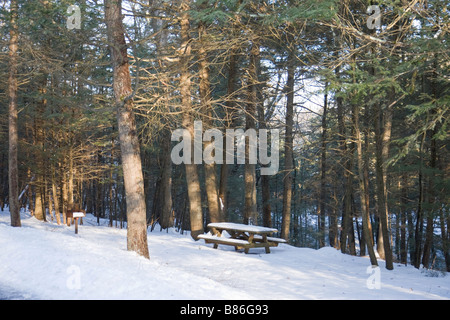Picknickplatz in Southbury State Park mit Schnee bedeckten Tisch und Barbeque-grill Stockfoto