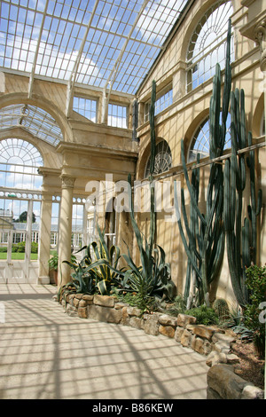 Der große Wintergarten gebaut von Charles Fowler im Jahre 1826, Syon House, Brentford, Middlesex, England, UK Stockfoto