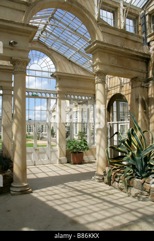 Der große Wintergarten gebaut von Charles Fowler im Jahre 1826, Syon House, Brentford, Middlesex, England, UK Stockfoto