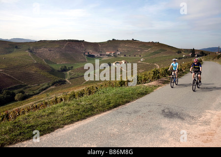 Frankreich Beaujolais Radfahrer Touren die Weinberge des Beaujolais eine Weinregion in der Nähe von Lyon produziert die berühmten Beaujolais Stockfoto