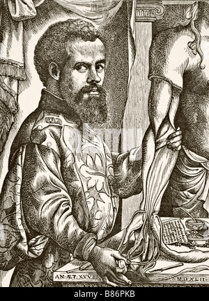 Andreas Vesalius, 1514 - 1564. Anatom, Arzt und Autor von De humani corporis fabrica, über die Funktionsweise des menschlichen Körpers. Stockfoto