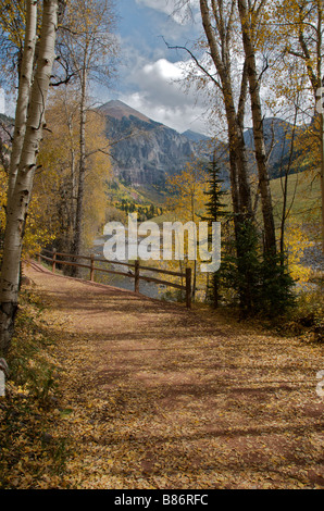 Herbstliche Farben des Aspen Bäume San Juan National Forest Telluride, Colorado USA Stockfoto