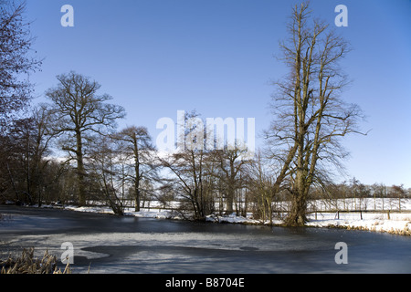 Gefrorenen See Addlestrop in Gloucestershire vor blauem Himmel Stockfoto