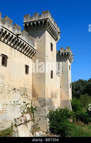 Das 15. Jahrhundert Schloss von König René (1409-1480) in Tarascon, Frankreich Stockfoto