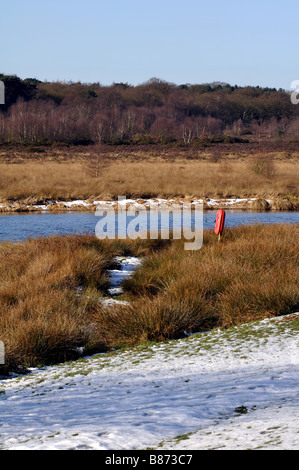 Longmoor Pool im Winter, Sutton Park, West Midlands, England, UK Stockfoto