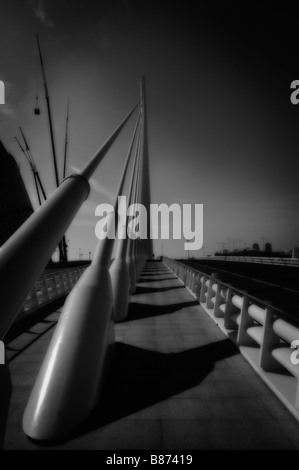 'L'Assut de l ' oder' Brücke. Stadt der Künste und Wissenschaften. Valencia. Spanien Stockfoto