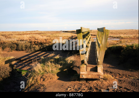 Hölzerne Fußgängerbrücke über den kleinen Creek auf Salzwiesen bei Toynbee, Norfolk, Großbritannien. Stockfoto