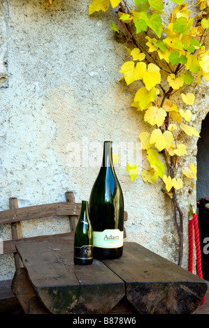 Ein Weinkeller-Display auf der Burg in Bled Slowenien Stockfoto