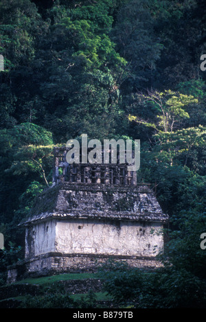 Tempel der Sonne mit Dschungel-Kulisse, Palenque, Mexiko Stockfoto