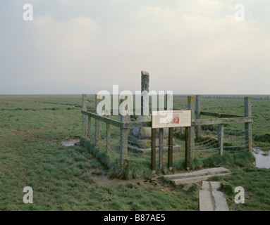 Martyrs Pfahl, Wigtown, Dumfries & Galloway, Schottland, Großbritannien. Stockfoto