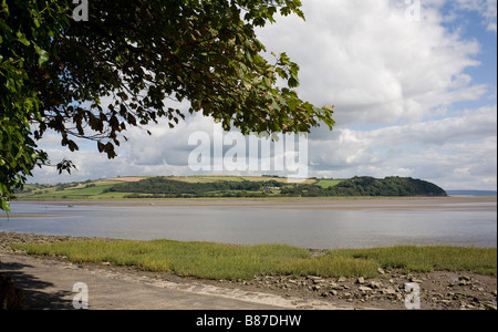 Die Taf-Mündung Laugharne Carmarthenshire South Wales mit Rahmung Baum Stockfoto