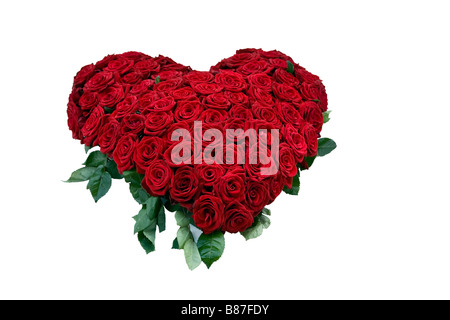 Rose bouquet Stockfoto