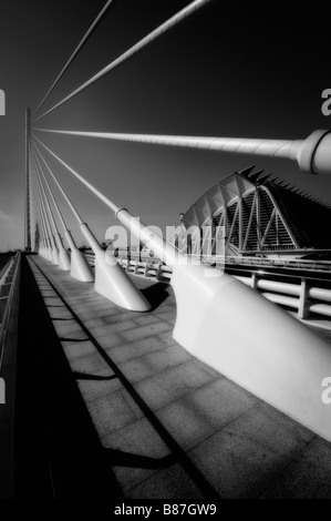 'L'Assut de l ' oder' Brücke und Museu de Les Ciències Príncipe Felipe (Wissenschaftsmuseum). Stadt der Künste und Wissenschaften. Valencia. Spanien Stockfoto