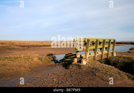 Hölzerne Fußgängerbrücke über den kleinen tiefen Creek auf Salzwiesen bei Toynbee, Norfolk, Großbritannien. Stockfoto