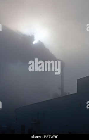 Rauch aus einem Schornstein verdunkelt die Sonne bei einer Zellstoff- und Papierfabrik wogenden Stockfoto