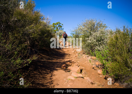 Wanderer auf der Mishe Mokwa und Rückgrat trail Santa Monica Berge wandern Stockfoto