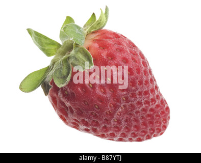 Frische Erdbeeren auf weißem Hintergrund isoliert Stockfoto