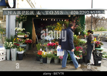 Auswahl an verschiedenen Blumen für den Verkauf in Harper und Toms in Elgin Crescent, einen Floristen W11. Stockfoto
