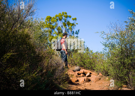 Wanderer auf der Mishe Mokwa und Rückgrat trail Santa Monica Berge wandern Stockfoto