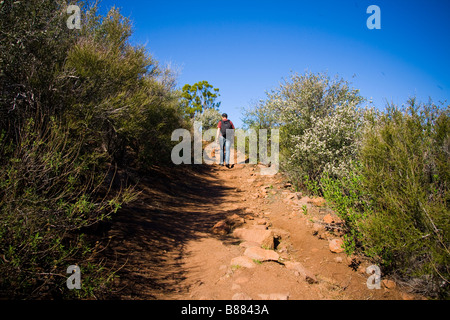 Wanderer auf der Mishe Mokwa und Rückgrat trail Santa Monica Berge wandern Stockfoto