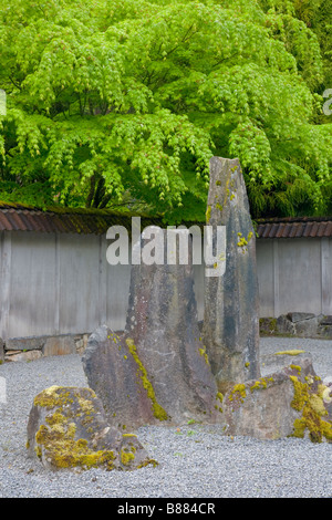 Woodinville, WA geharkt Sand und Stein in den Zen-Garten des Heiligtums Welch Stockfoto