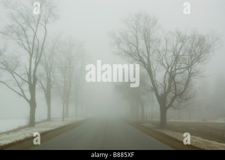 Landstraße in den Nebel verschwinden Stockfoto