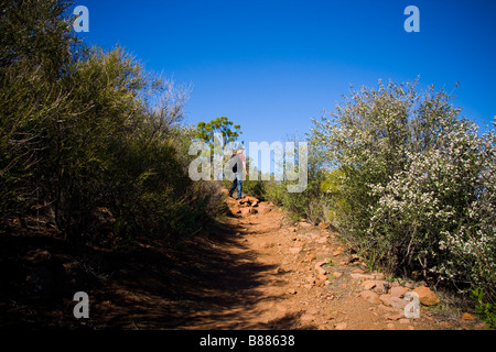 Wanderer auf der Mishe Mokwa und Rückgrat trail Santa Monica Berge wandern Stockfoto