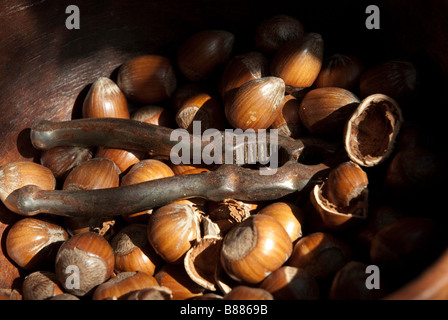 Nahaufnahme der Haselnüsse in Schale mit Nussknacker Stockfoto