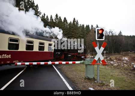 Historische Dampflok der Harzer Schmalspurbahn kreuzt eine Straße bei drei Annen-Hohne am Brocken, Ostdeutschland Stockfoto